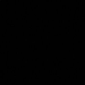 Meet your Posher, Sammy